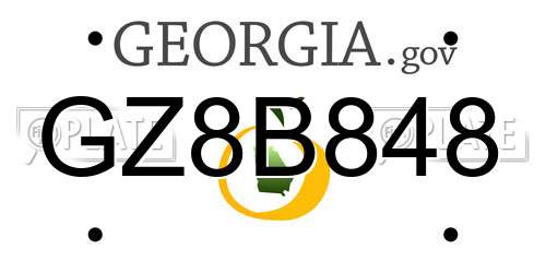GZ8B848 Georgia License Plate