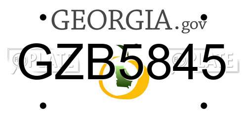 GZB5845 Georgia License Plate