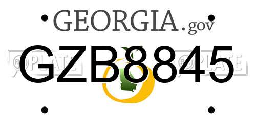 GZB8845 Georgia License Plate