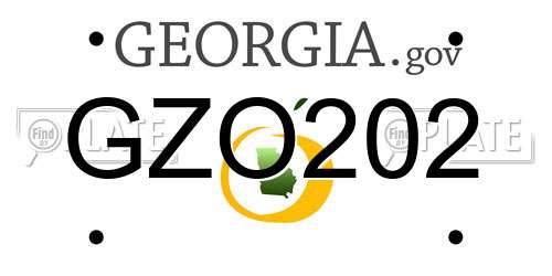 GZO202 Georgia License Plate