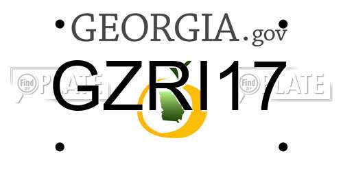 GZRI17 Georgia License Plate