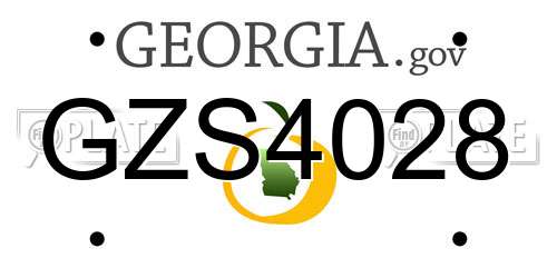 GZS4028 Georgia License Plate