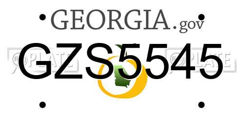 GZS5545 Georgia License Plate