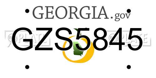 GZS5845 Georgia License Plate