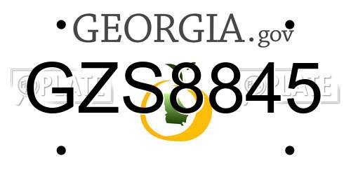 GZS8845 Georgia License Plate