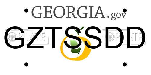 GZTSSDD Georgia License Plate