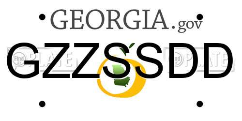 GZZSSDD Georgia License Plate