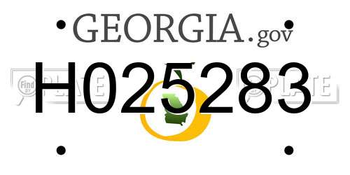 H025283 Georgia License Plate