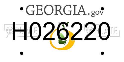 H026220 Georgia License Plate