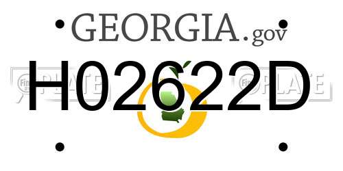 H02622D Georgia License Plate