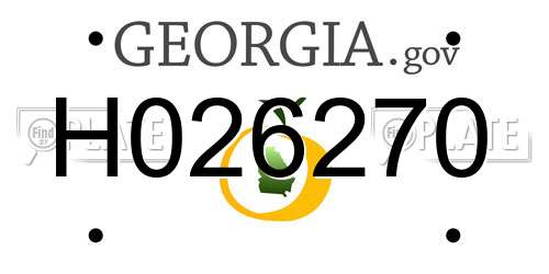 H026270 Georgia License Plate