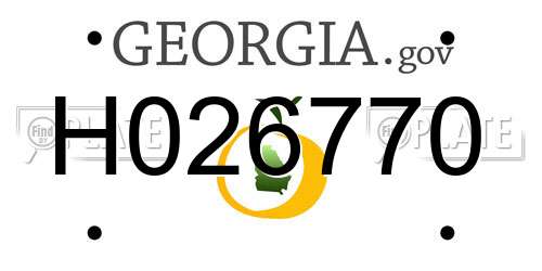 H026770 Georgia License Plate