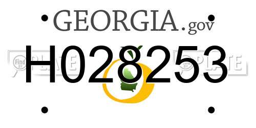H028253 Georgia License Plate
