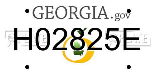 H02825E Georgia License Plate