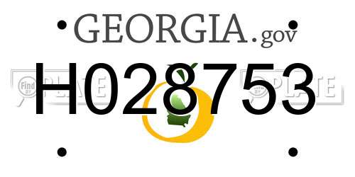 H028753 Georgia License Plate