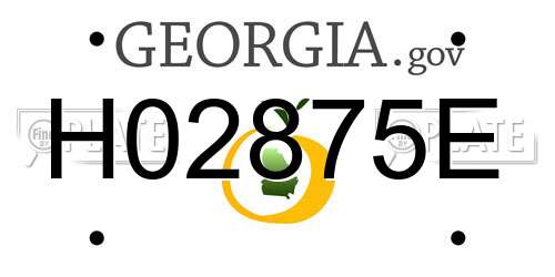 H02875E Georgia License Plate