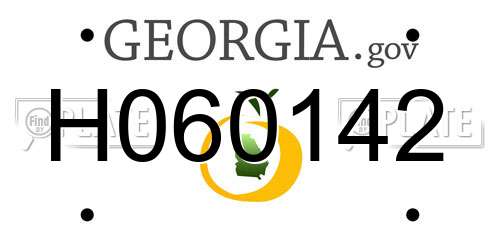 H060142 Georgia License Plate