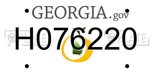H076220 Georgia License Plate
