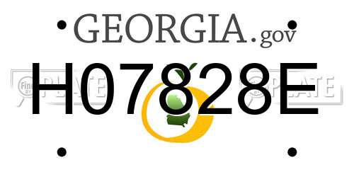 H07828E Georgia License Plate