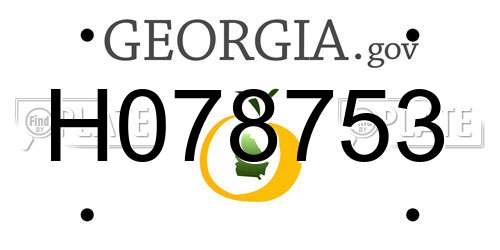 H078753 Georgia License Plate