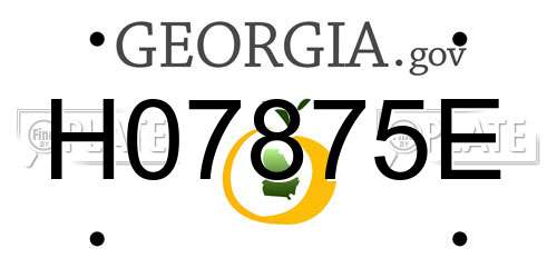 H07875E Georgia License Plate