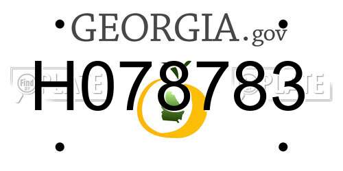 H078783 Georgia License Plate