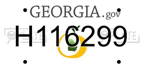H116299 Georgia License Plate