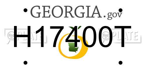H17400T Georgia License Plate
