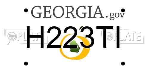 H223TI Georgia License Plate
