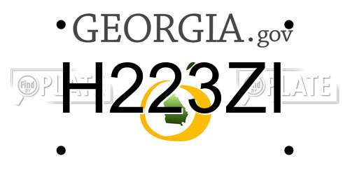 H223ZI Georgia License Plate