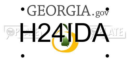 H24IDA Georgia License Plate