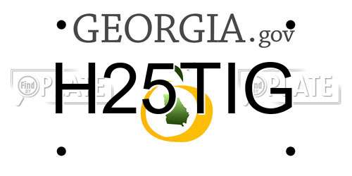 H25TIG Georgia License Plate