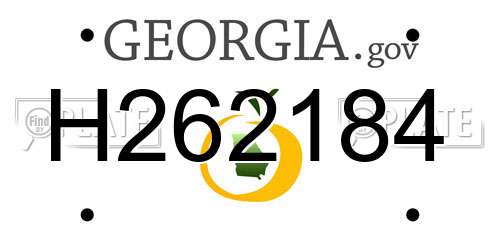 H262184 Georgia License Plate