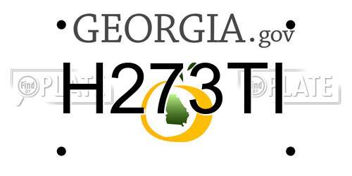 H273TI Georgia License Plate