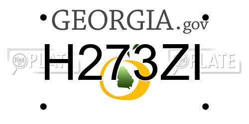 H273ZI Georgia License Plate
