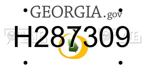 H287309 Georgia License Plate