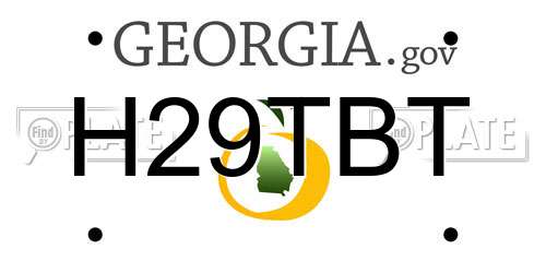 H29TBT Georgia License Plate