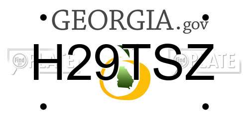 H29TSZ Georgia License Plate