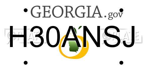 H30ANSJ Georgia License Plate