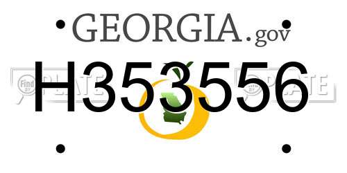 H353556 Georgia License Plate