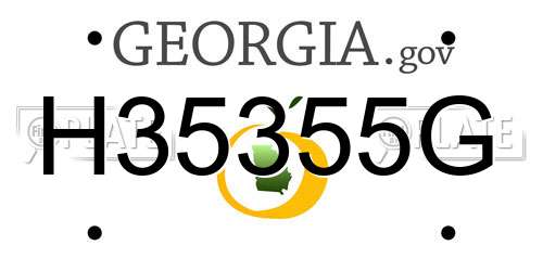 H35355G Georgia License Plate
