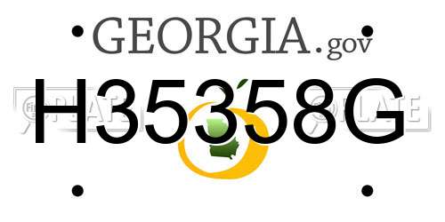 H35358G Georgia License Plate