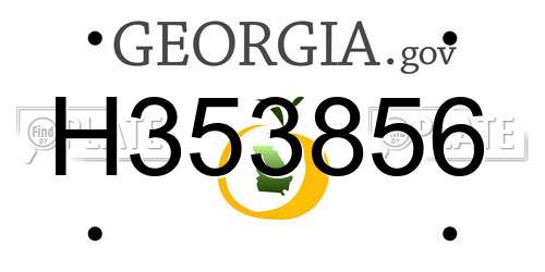 H353856 Georgia License Plate