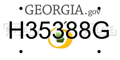H35388G Georgia License Plate