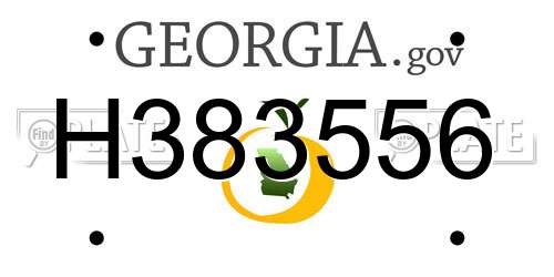 H383556 Georgia License Plate
