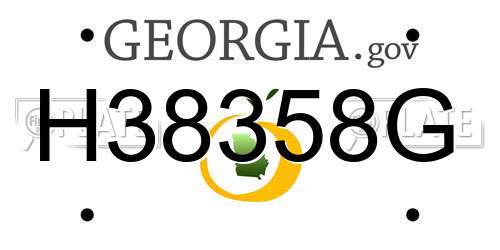 H38358G Georgia License Plate
