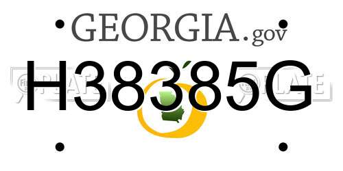 H38385G Georgia License Plate
