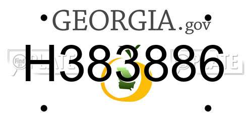 H383886 Georgia License Plate