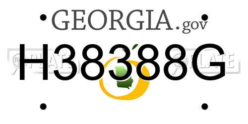 H38388G Georgia License Plate