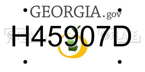 H45907D Georgia License Plate